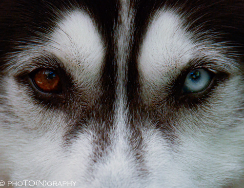 PhoTO(N)graphy