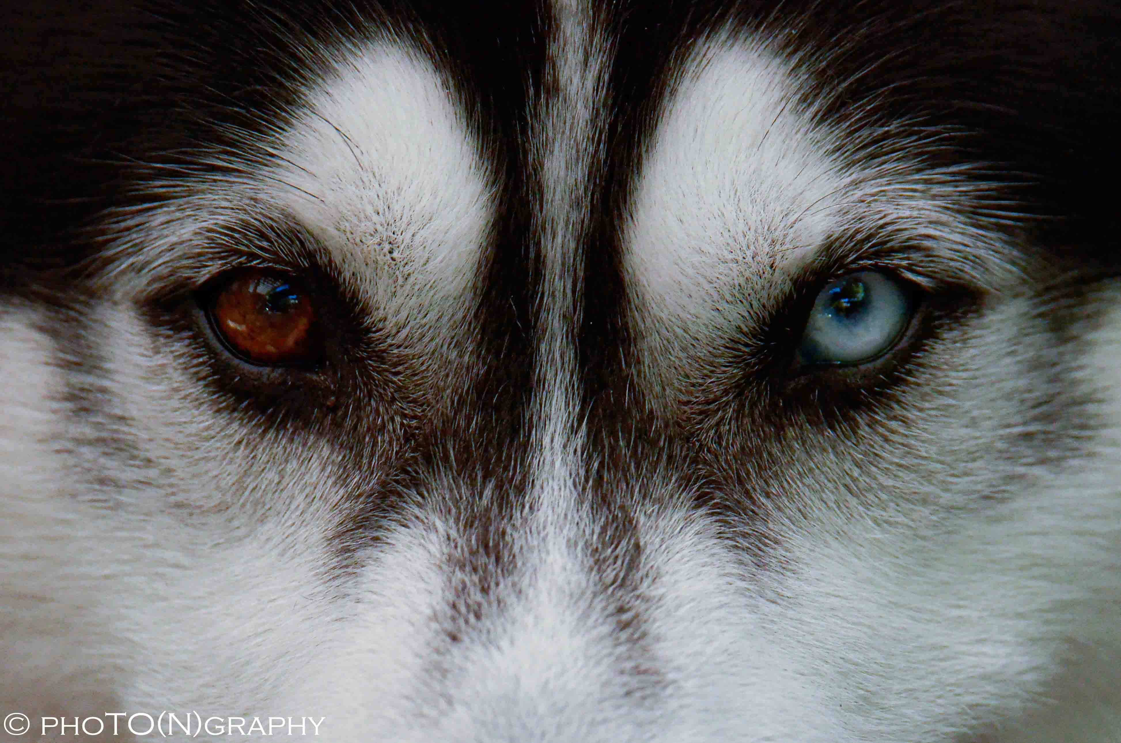 photonraphy
