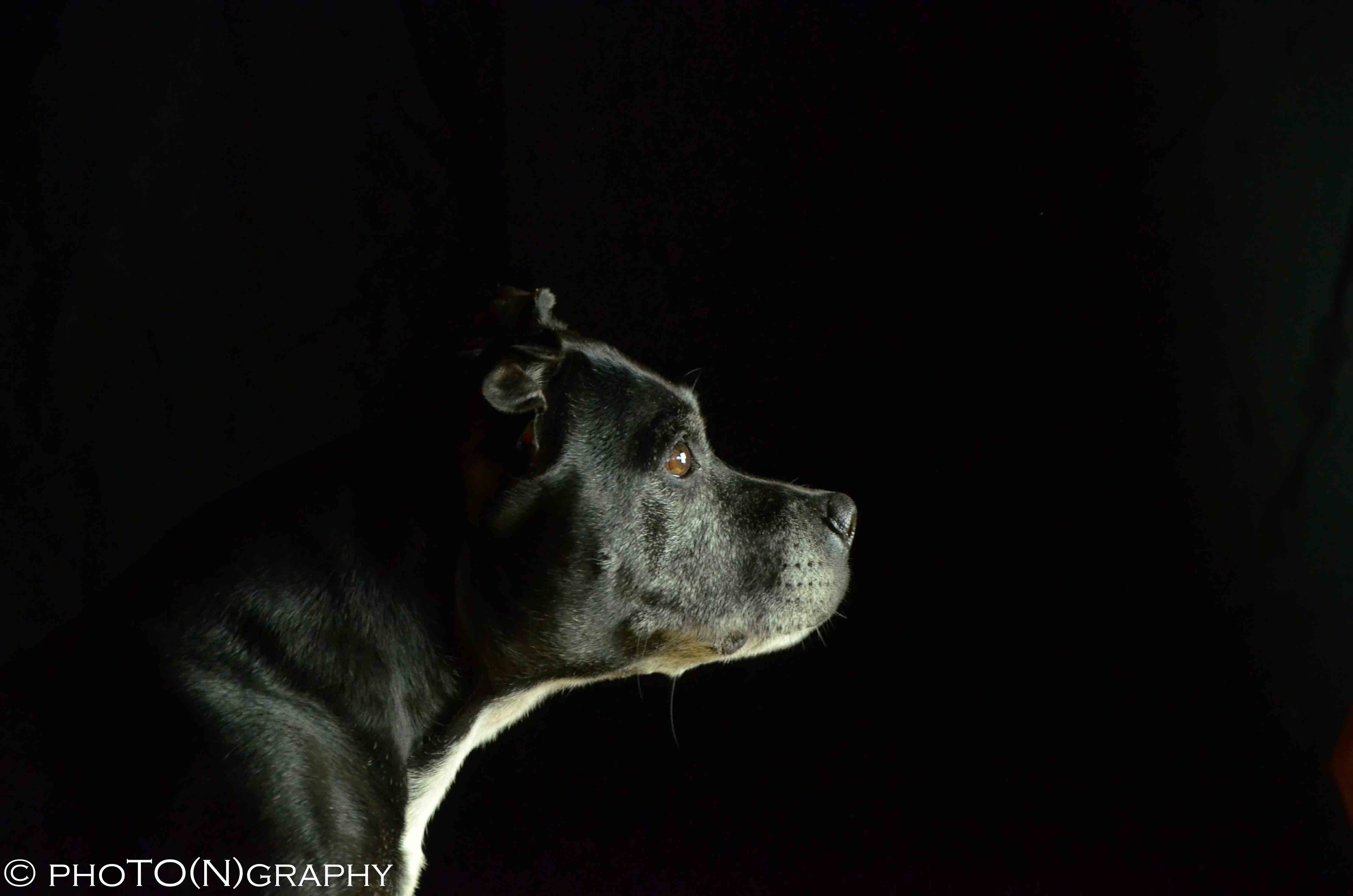 photonraphy